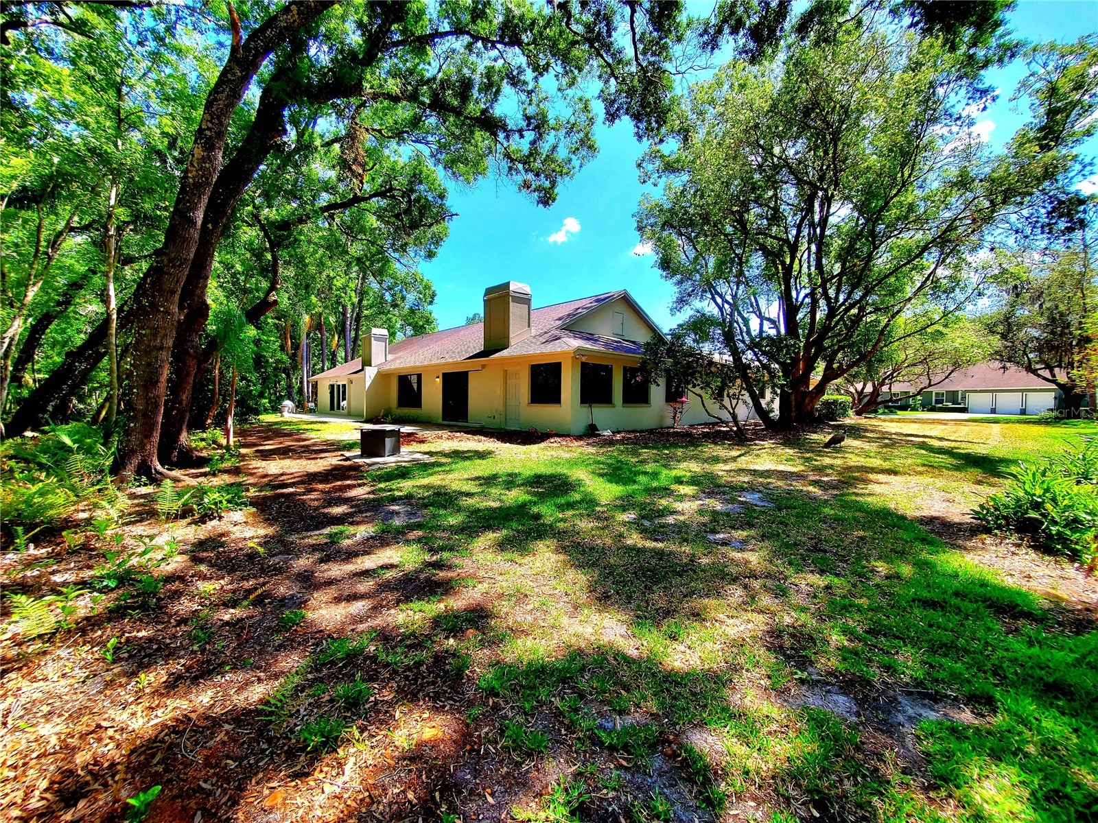 3529 Tanglewood Trail Palm Harbor FL 34685 TB8489948 image41