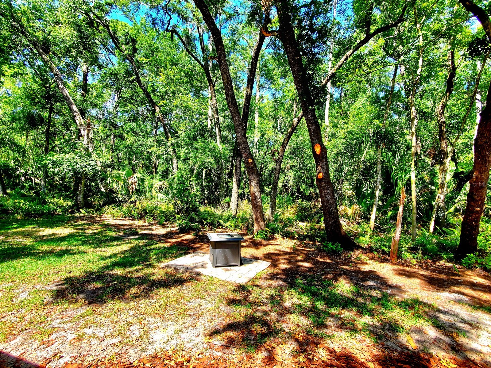 3529 Tanglewood Trail Palm Harbor FL 34685 TB8489948 image42