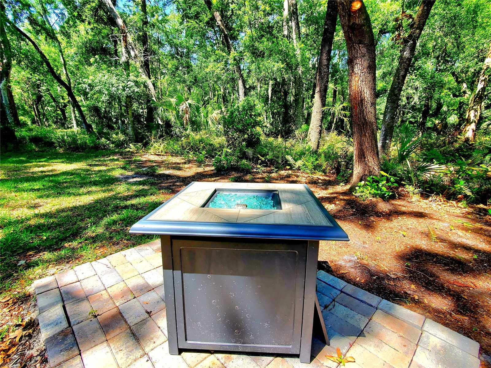 3529 Tanglewood Trail Palm Harbor FL 34685 TB8489948 image43