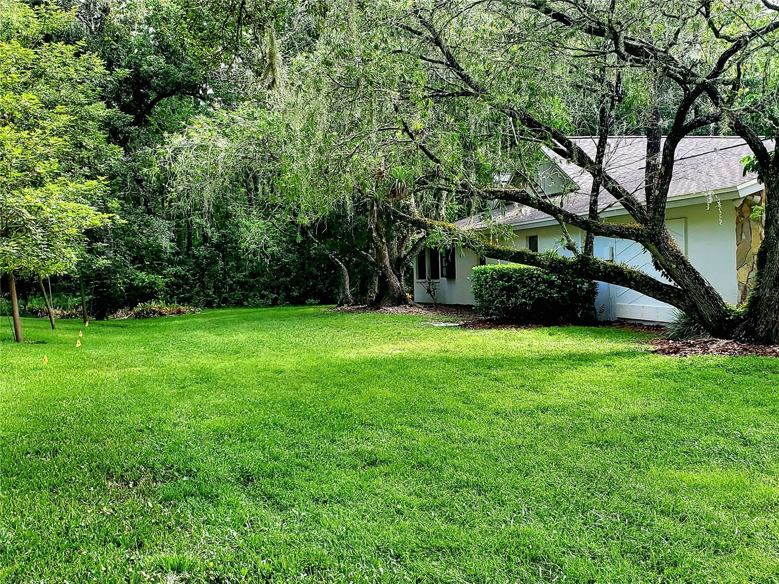 3529 Tanglewood Trail Palm Harbor FL 34685 TB8489948 image44