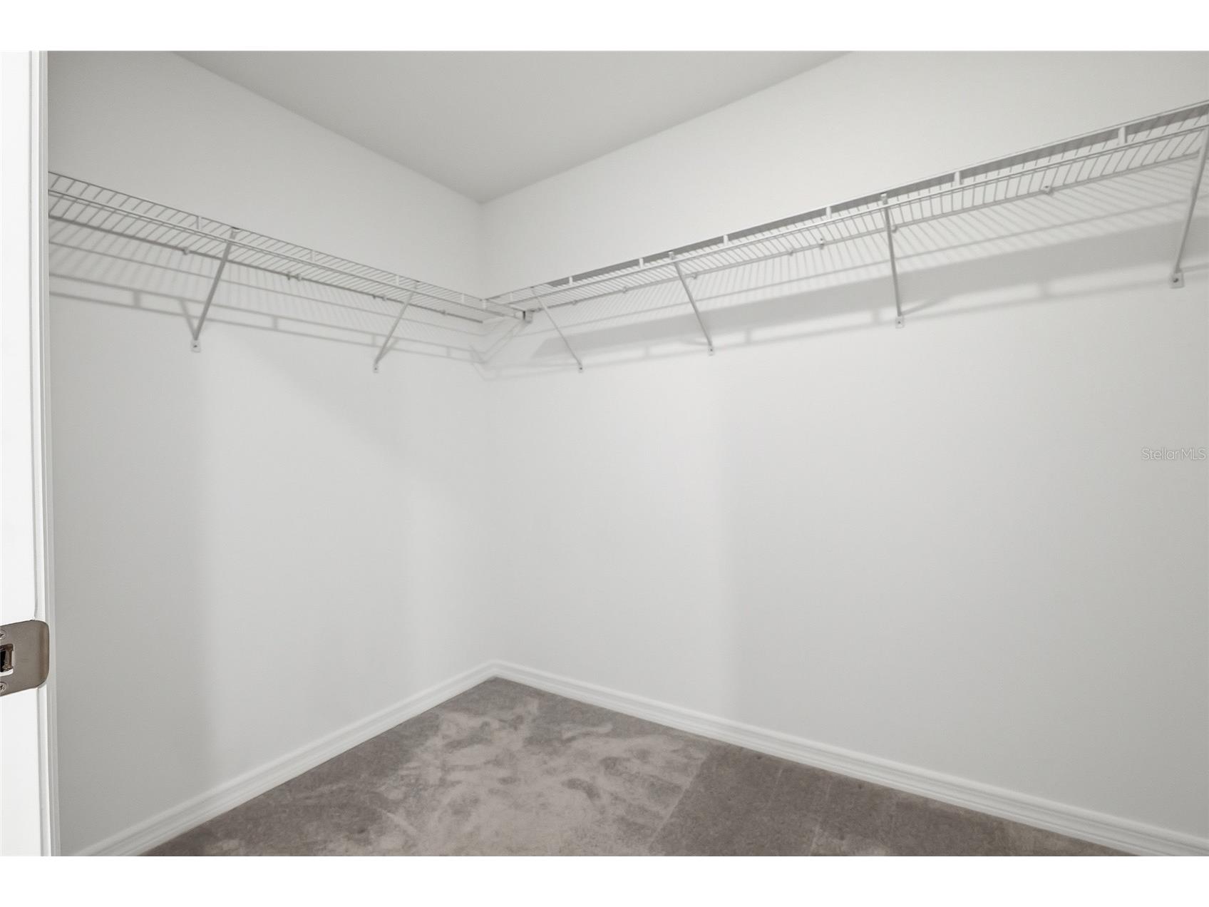 35298 Ackley Trace Zephyrhills FL 33541 S5149546 image22