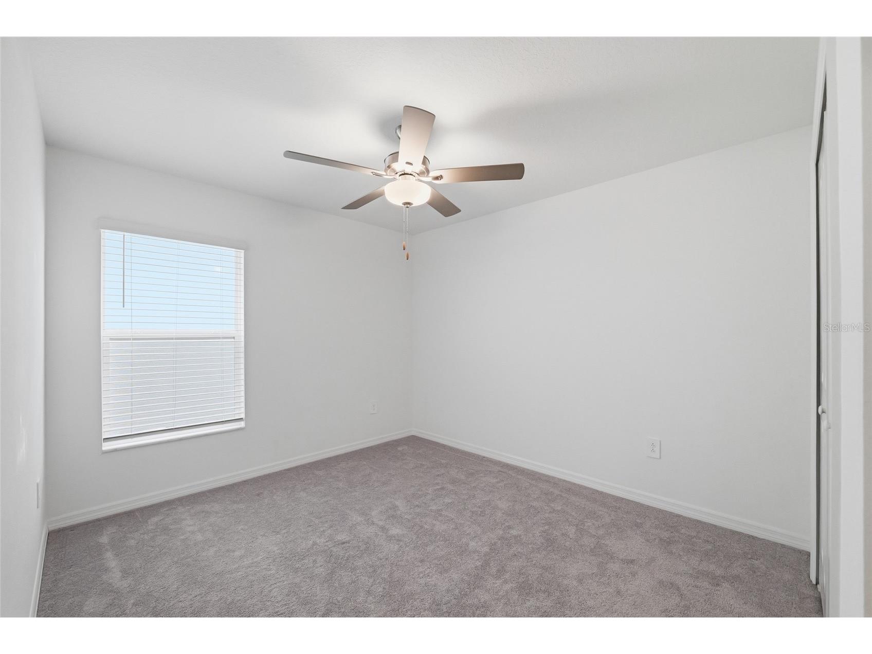35298 Ackley Trace Zephyrhills FL 33541 S5149546 image25