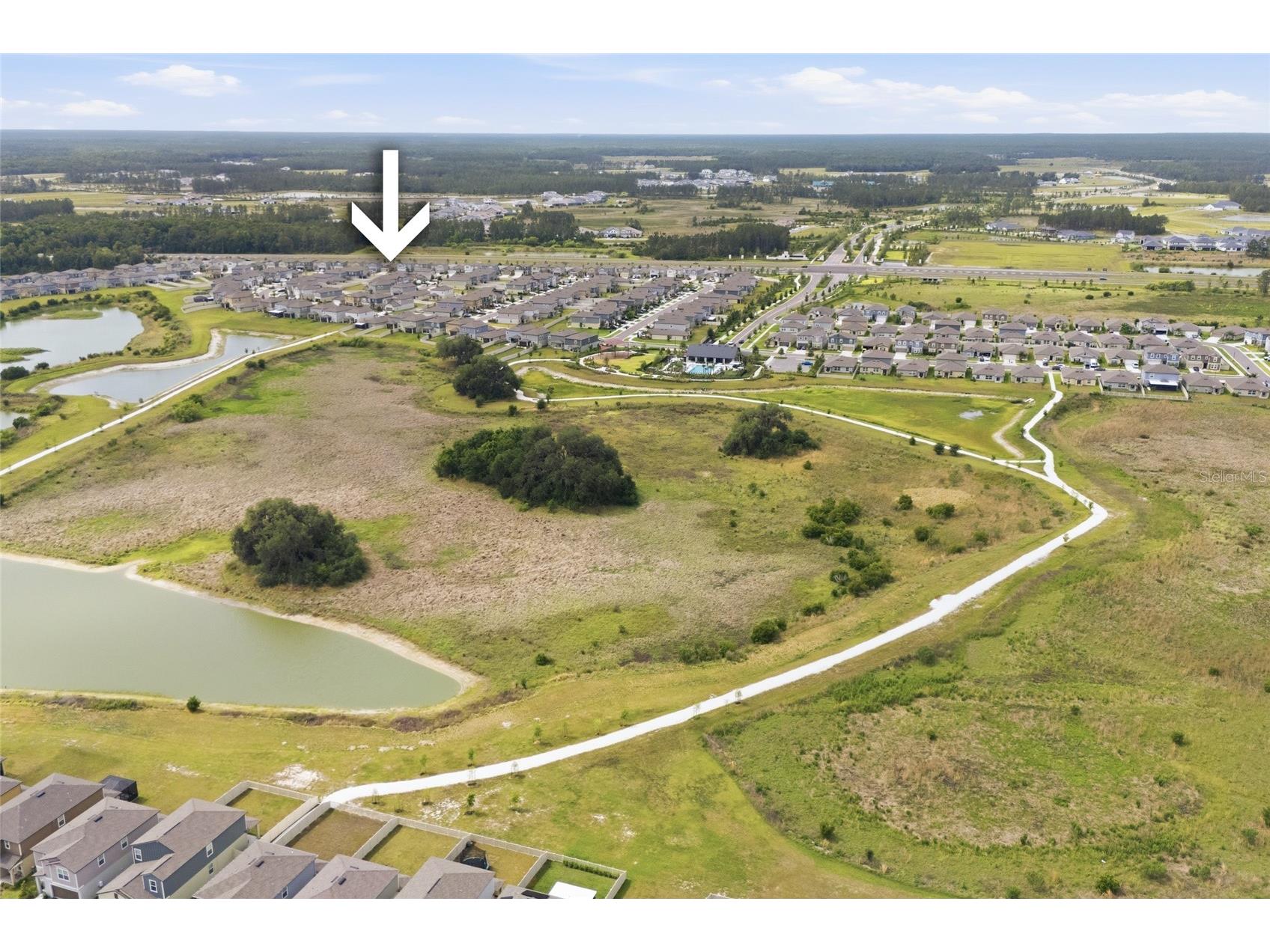 35298 Ackley Trace Zephyrhills FL 33541 S5149546 image39