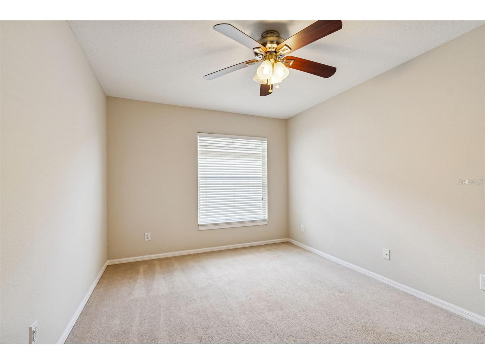 353 Bay Arbor Oldsmar FL 34677 TB8526135 image14