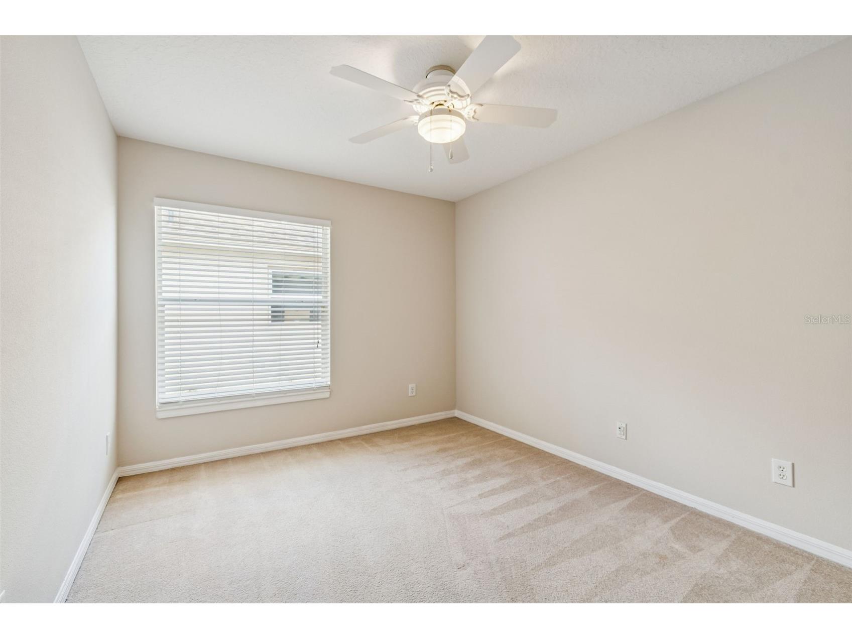 353 Bay Arbor Oldsmar FL 34677 TB8526135 image16