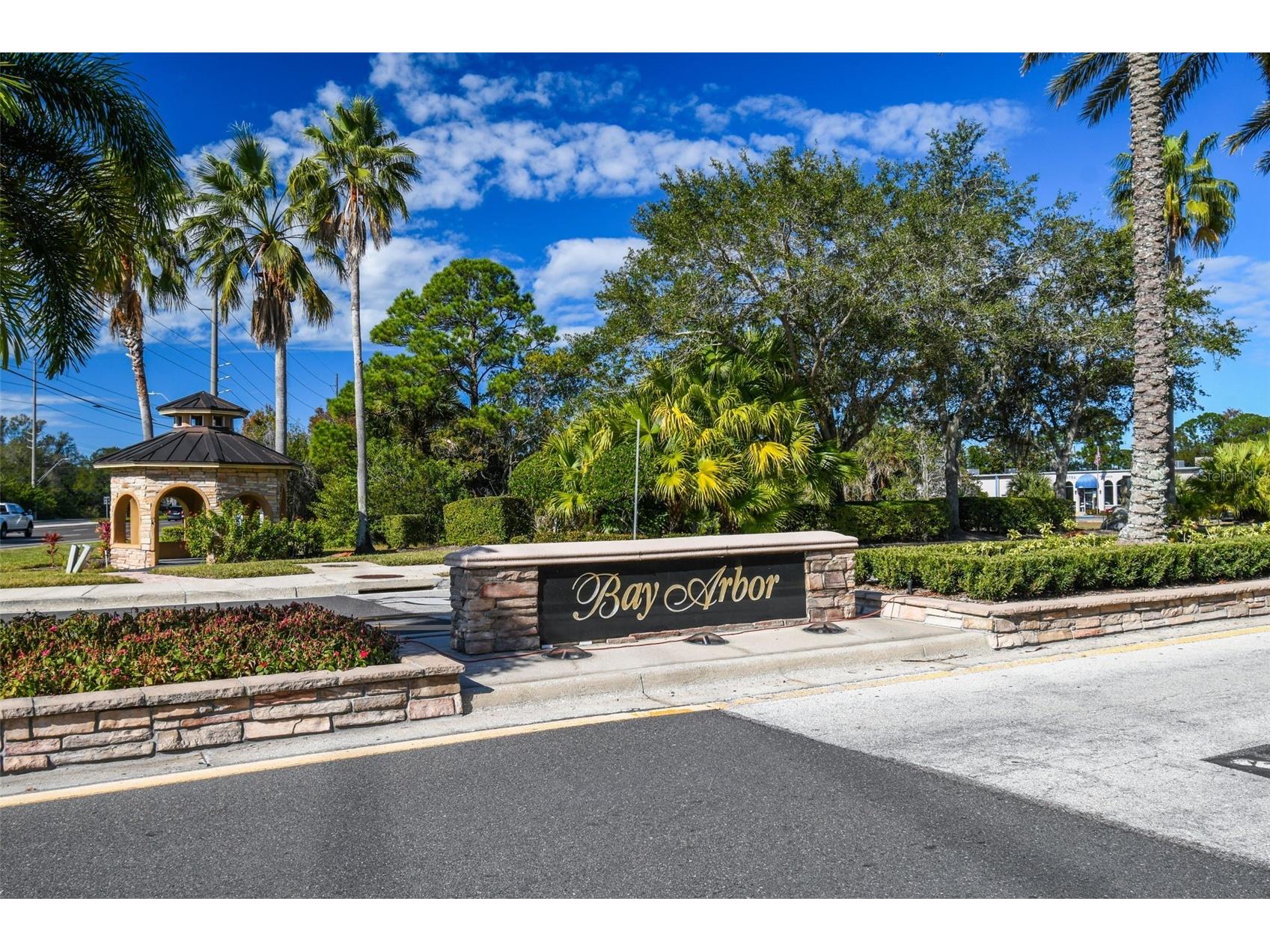 353 Bay Arbor Oldsmar FL 34677 TB8526135 image29