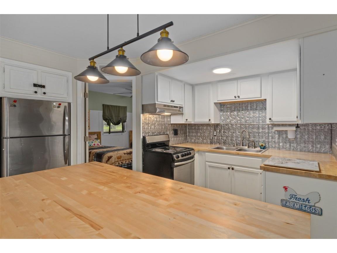 353 N Robin Hood Road Inverness FL 34450 - WITHLACOOCHEE RIVER OM709551 image16