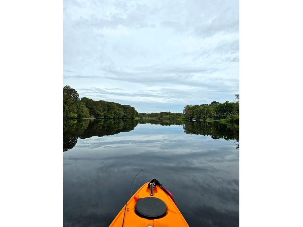 353 N Robin Hood Road Inverness FL 34450 - WITHLACOOCHEE RIVER OM709551 image42