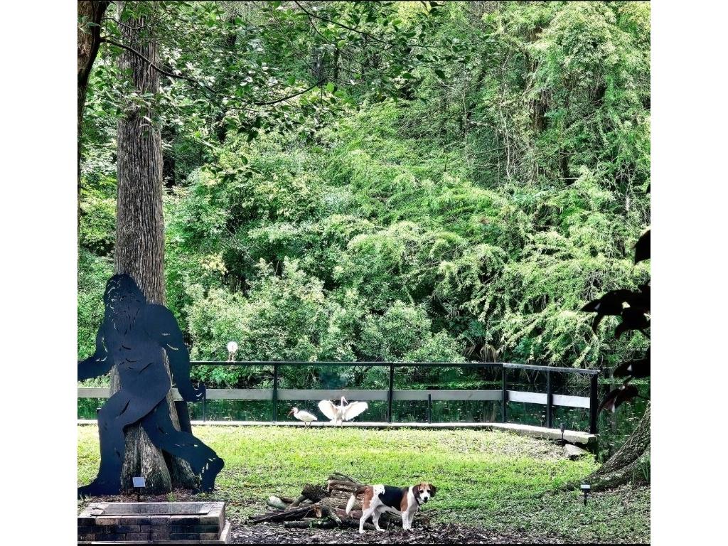 353 N Robin Hood Road Inverness FL 34450 - WITHLACOOCHEE RIVER OM709551 image43