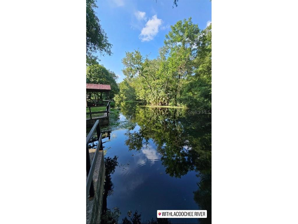 353 N Robin Hood Road Inverness FL 34450 - WITHLACOOCHEE RIVER OM709551 image46