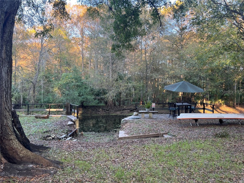 353 N Robin Hood Road Inverness FL 34450 - WITHLACOOCHEE RIVER OM709551 image47