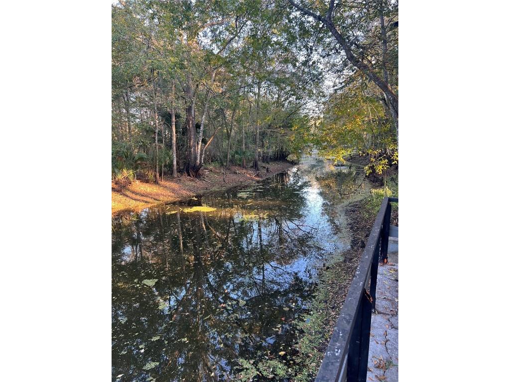 353 N Robin Hood Road Inverness FL 34450 - WITHLACOOCHEE RIVER OM709551 image49