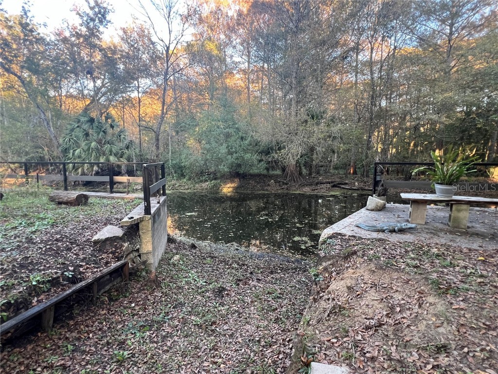 353 N Robin Hood Road Inverness FL 34450 - WITHLACOOCHEE RIVER OM709551 image56