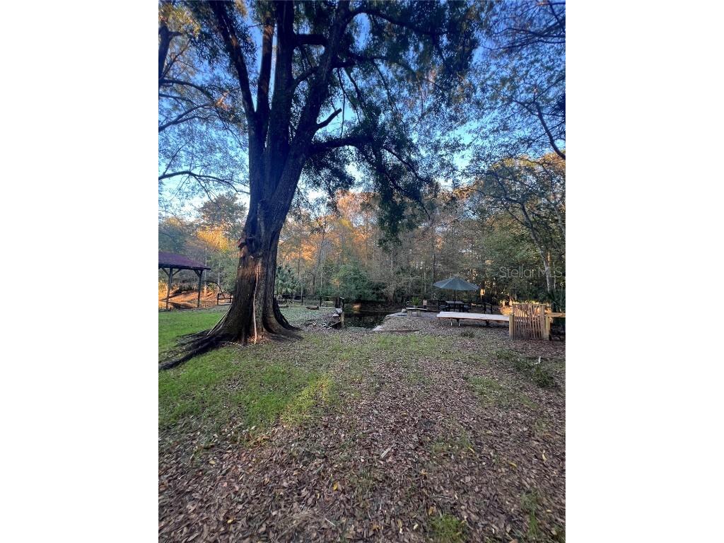 353 N Robin Hood Road Inverness FL 34450 - WITHLACOOCHEE RIVER OM709551 image57