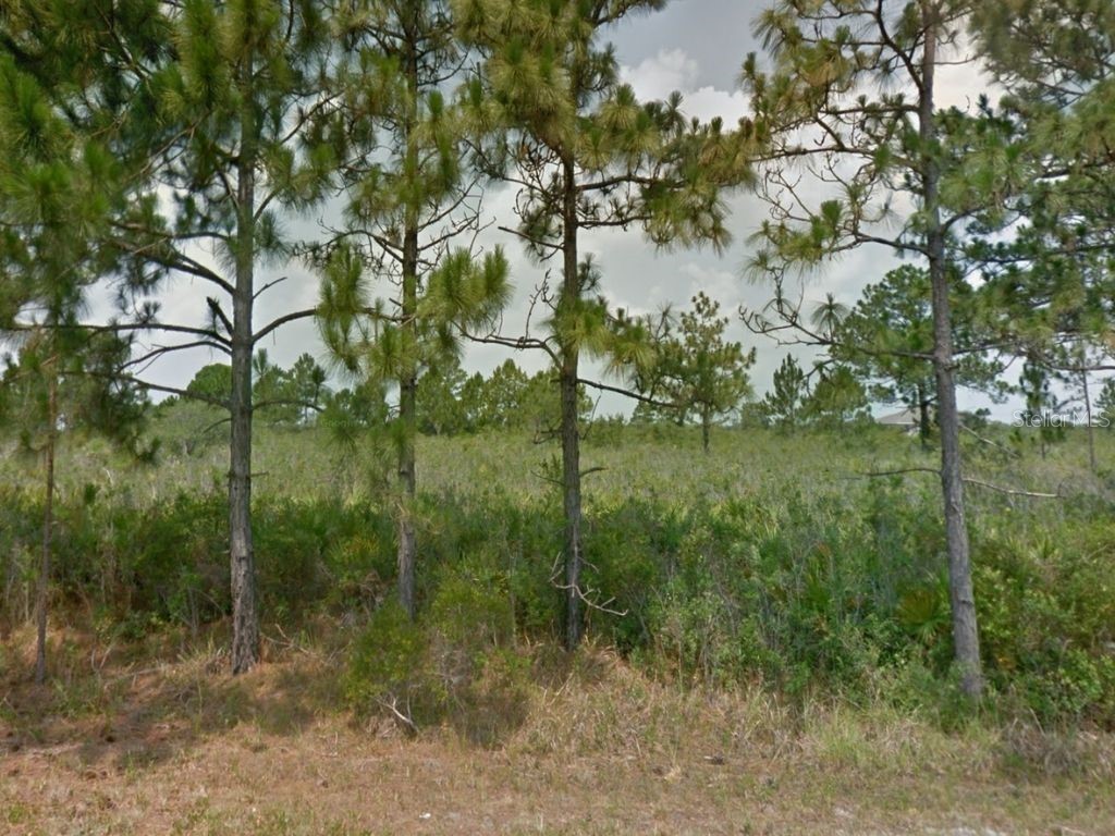 353 Norseman Avenue NW Lake Placid FL 33852 C7479003 image1