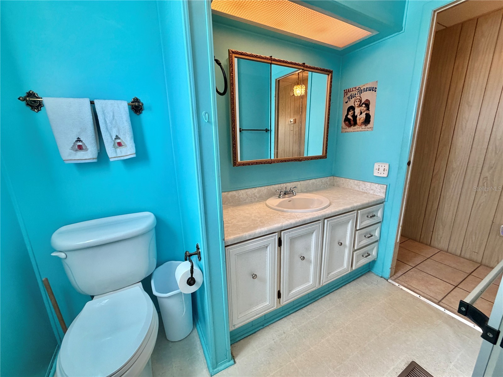 353 Palo Verde Drive Leesburg FL 34748 G5108703 image22