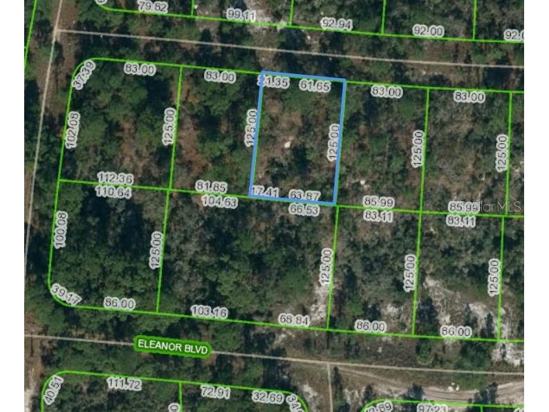 353 Paradise Avenue Lake Placid FL 33852 OM621110 image1