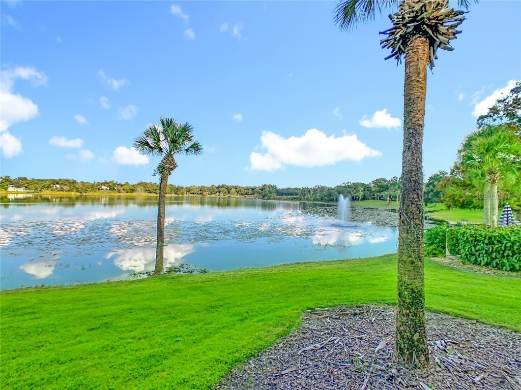 353 W Lake Faith Drive #116 Maitland FL 32751 - LAKE FAITH O6352070 image30