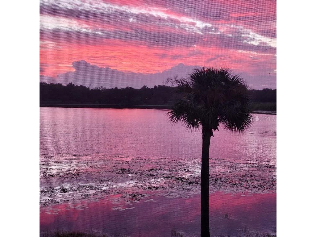 353 W Lake Faith Drive #116 Maitland FL 32751 - LAKE FAITH O6352070 image36