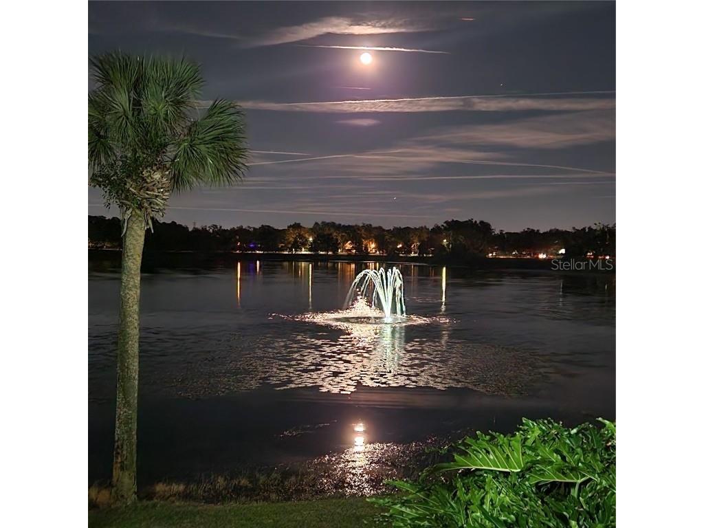 353 W Lake Faith Drive #116 Maitland FL 32751 - LAKE FAITH O6352070 image37