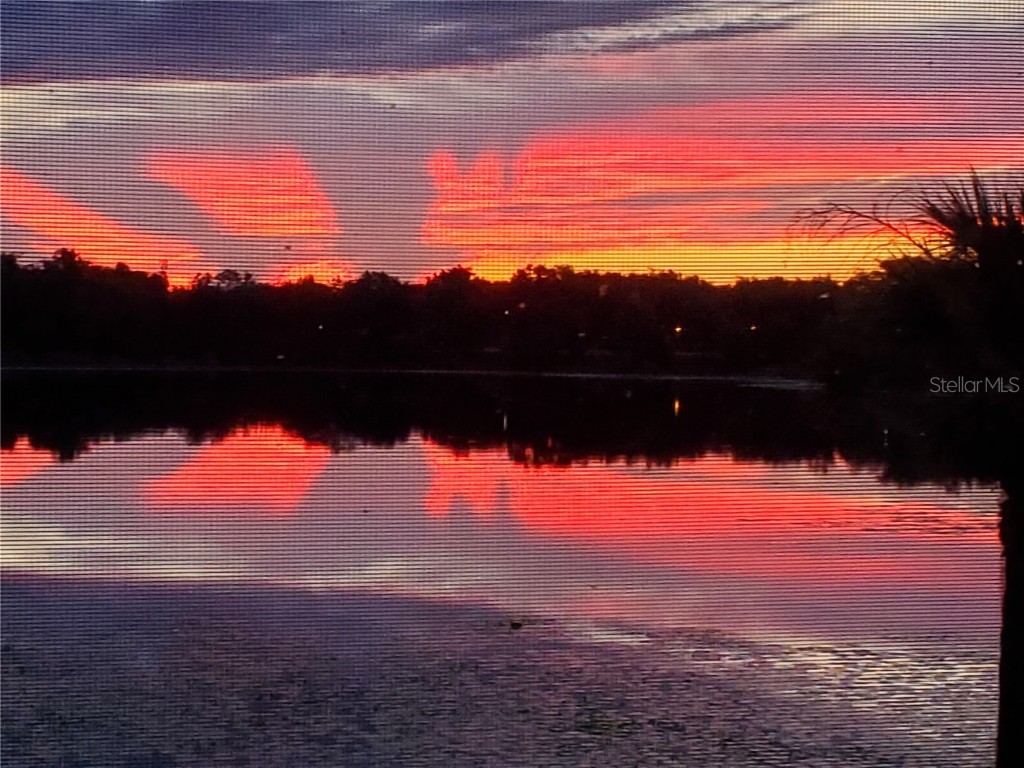 353 W Lake Faith Drive #116 Maitland FL 32751 - LAKE FAITH O6352070 image38