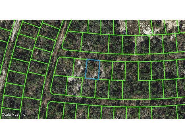 353 Whispering Avenue Lake Placid FL 33852 OM542056 image1