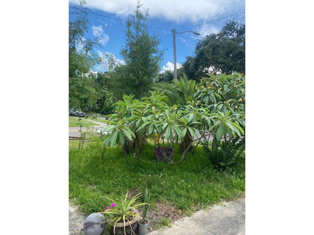 3530 Beechwood Terrace N Pinellas Park FL 33781 W7876701 image45