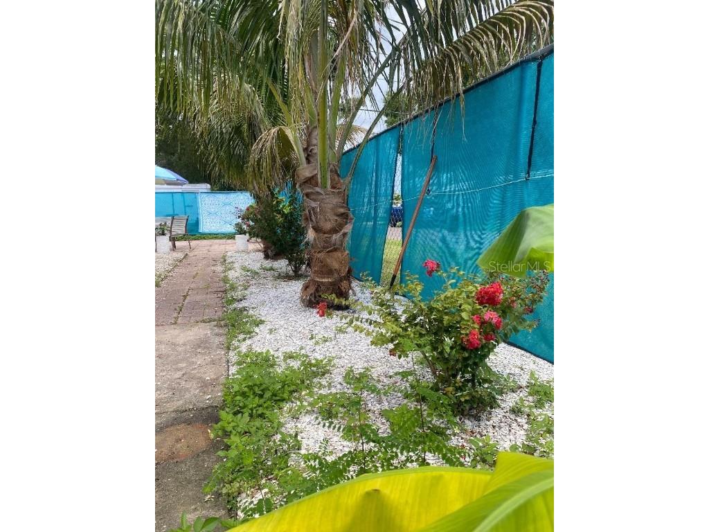 3530 Beechwood Terrace N Pinellas Park FL 33781 W7876701 image9