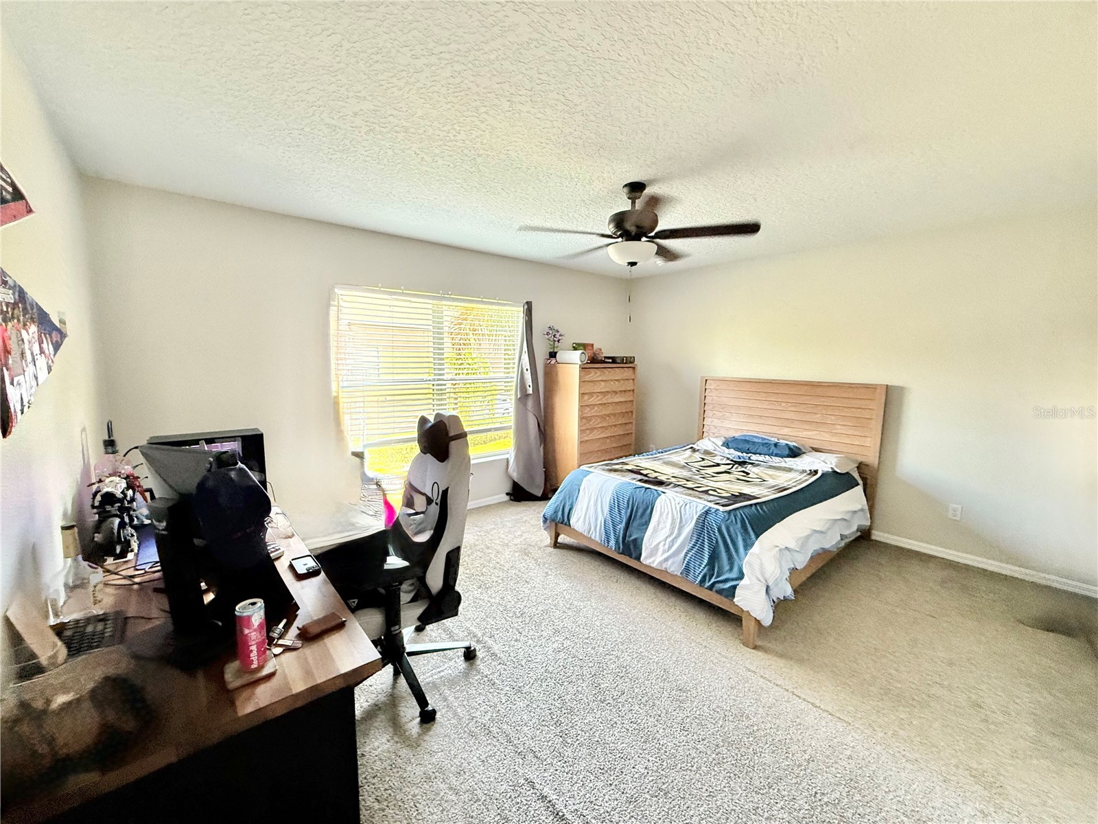 3530 Caruso Place Oviedo FL 32765 O6415515 image10