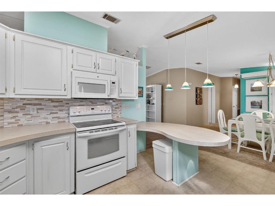 3530 Manatee Road Tavares FL 32778 G5103270 image11