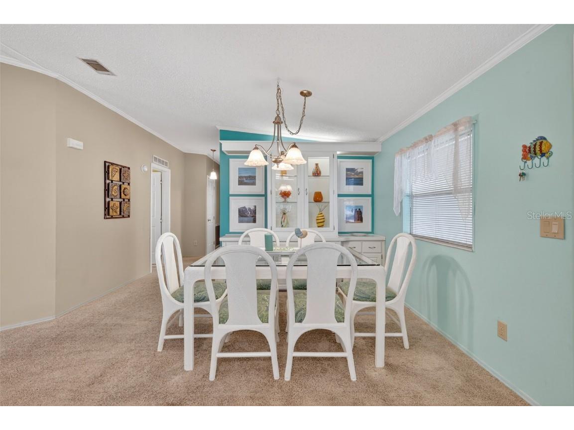 3530 Manatee Road Tavares FL 32778 G5103270 image13