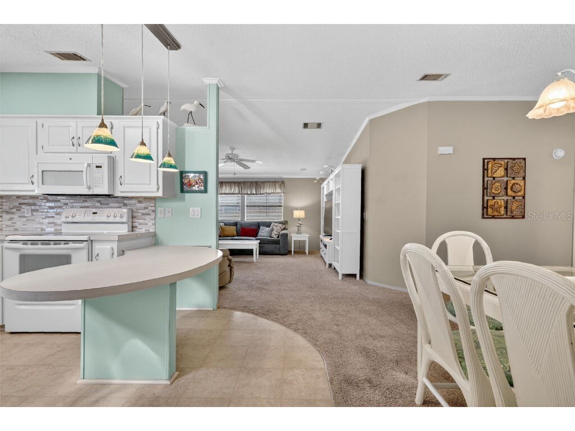 3530 Manatee Road Tavares FL 32778 G5103270 image5