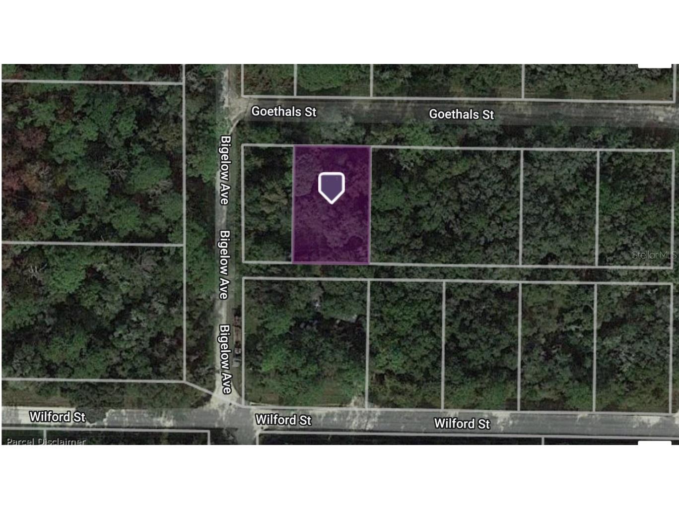 35306 Goethals Street Webster FL 33597 C7474747 image1