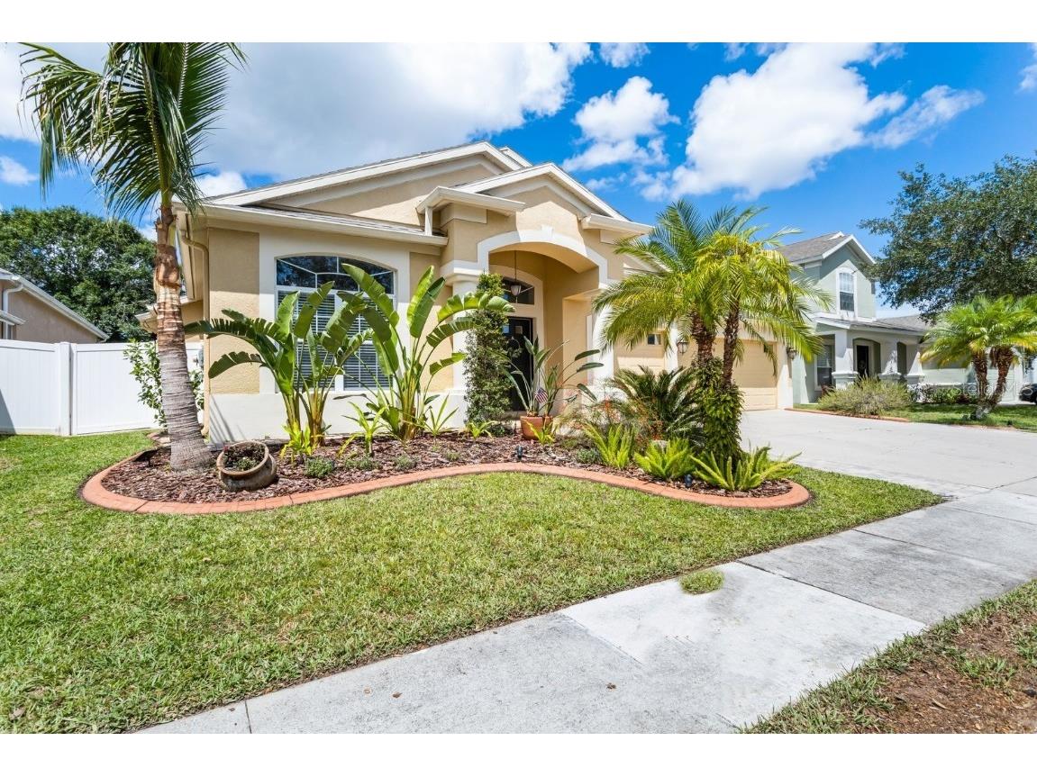 3531 Fortingale Drive Wesley Chapel FL 33543 T3452117 image1