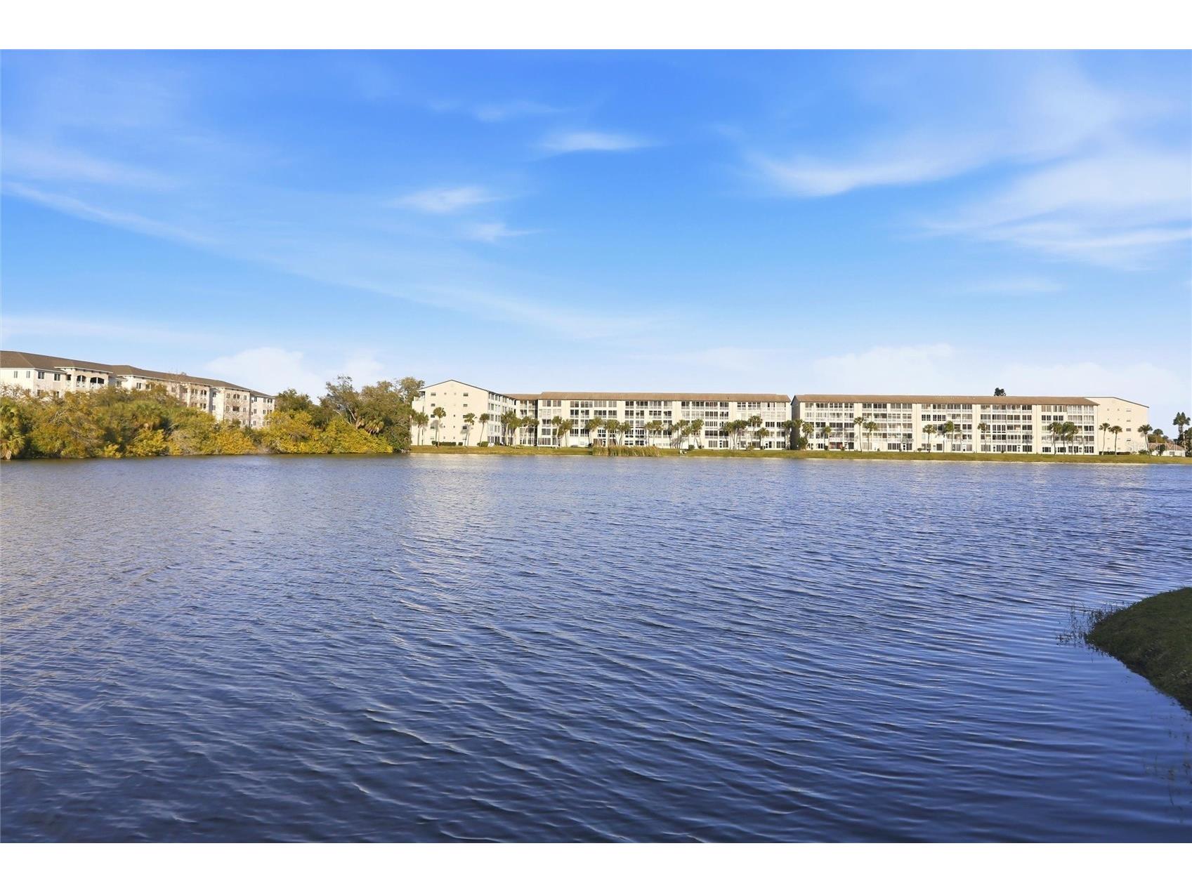 3531 Lake Bayshore Drive #J106 Bradenton FL 34205 A4672127 image33