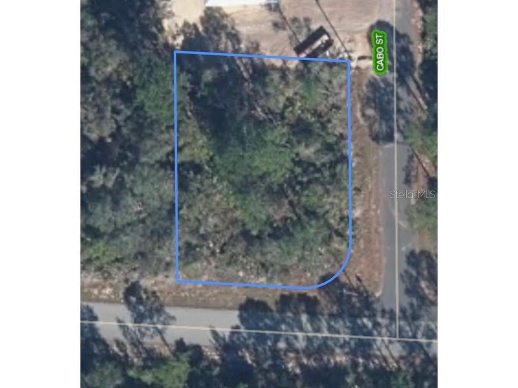 3531 Plover Avenue Lake Placid FL 33852 A4664114 image3