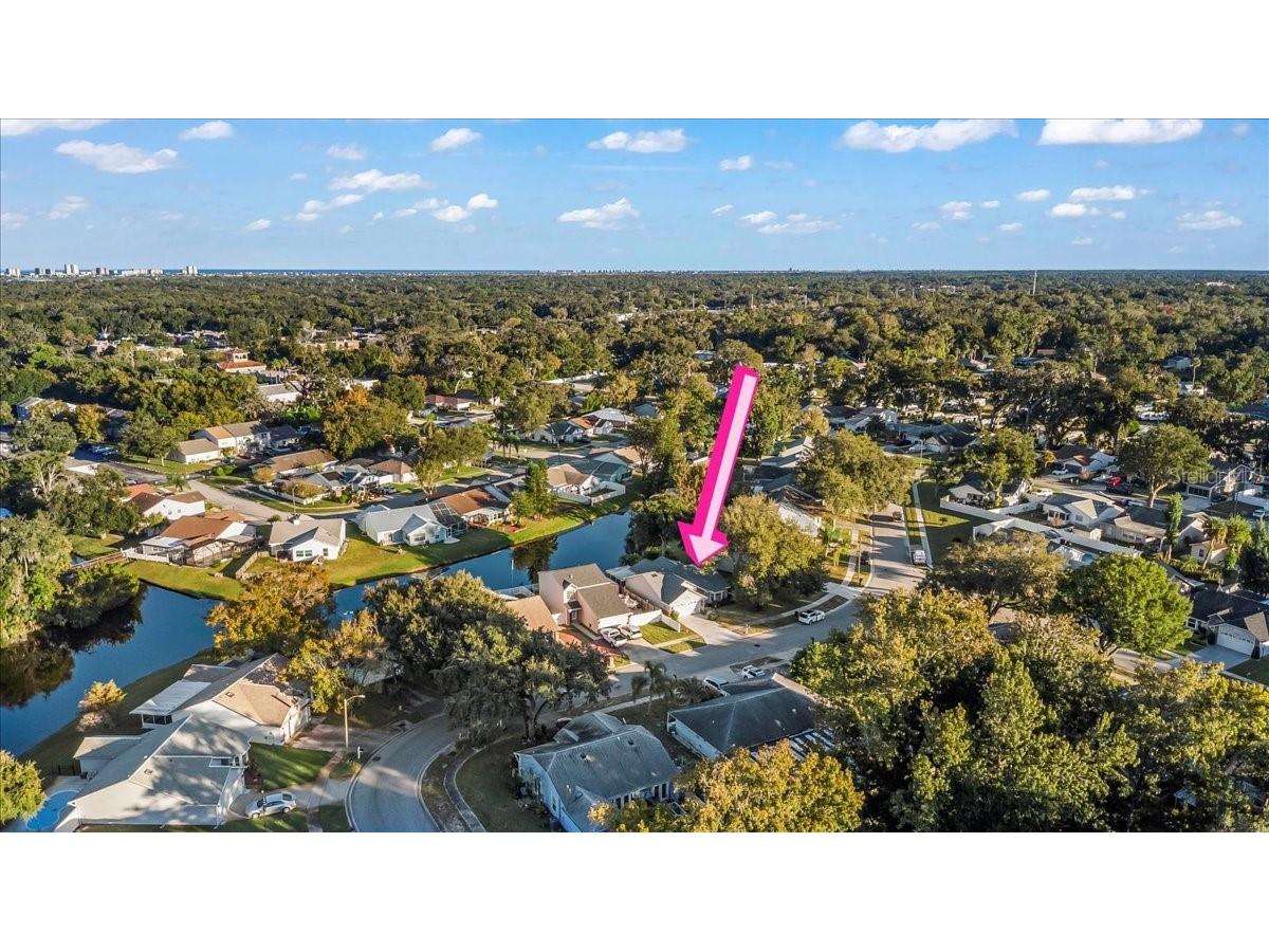 3531 Red Pontiac Drive Port Orange FL 32129 V4945934 image49