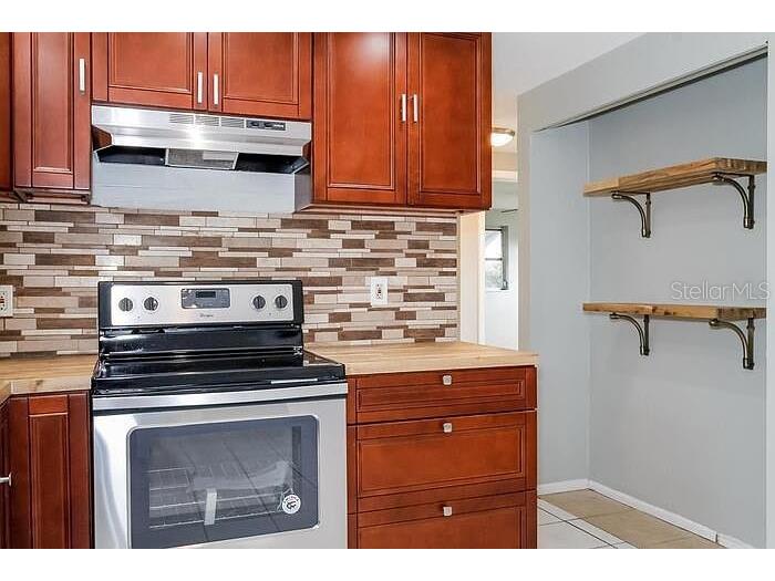 3531 Rosewater Drive Holiday FL 34691 TB8459609 image9