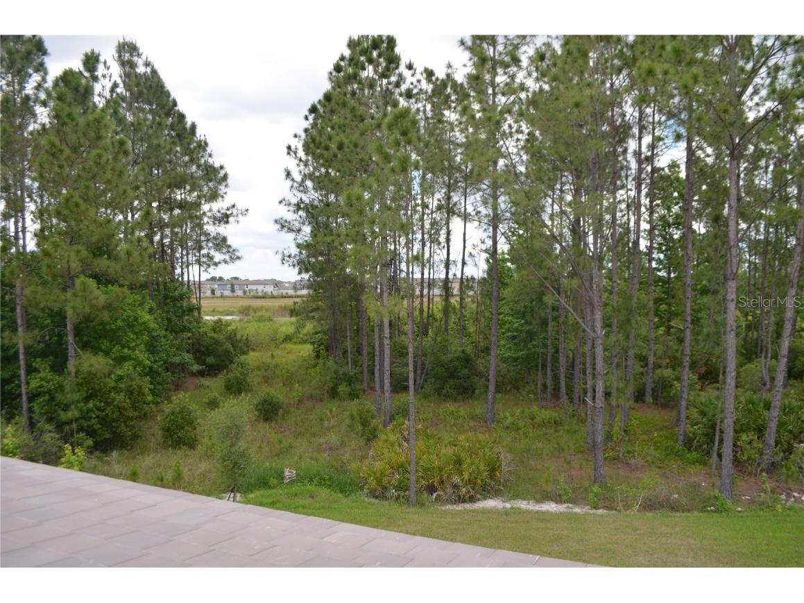 35311 Big Hawk Drive Zephyrhills FL 33541 TB8397906 image19