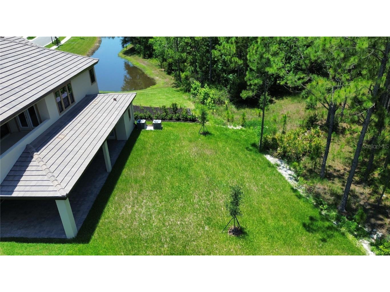35311 Big Hawk Drive Zephyrhills FL 33541 TB8397906 image2