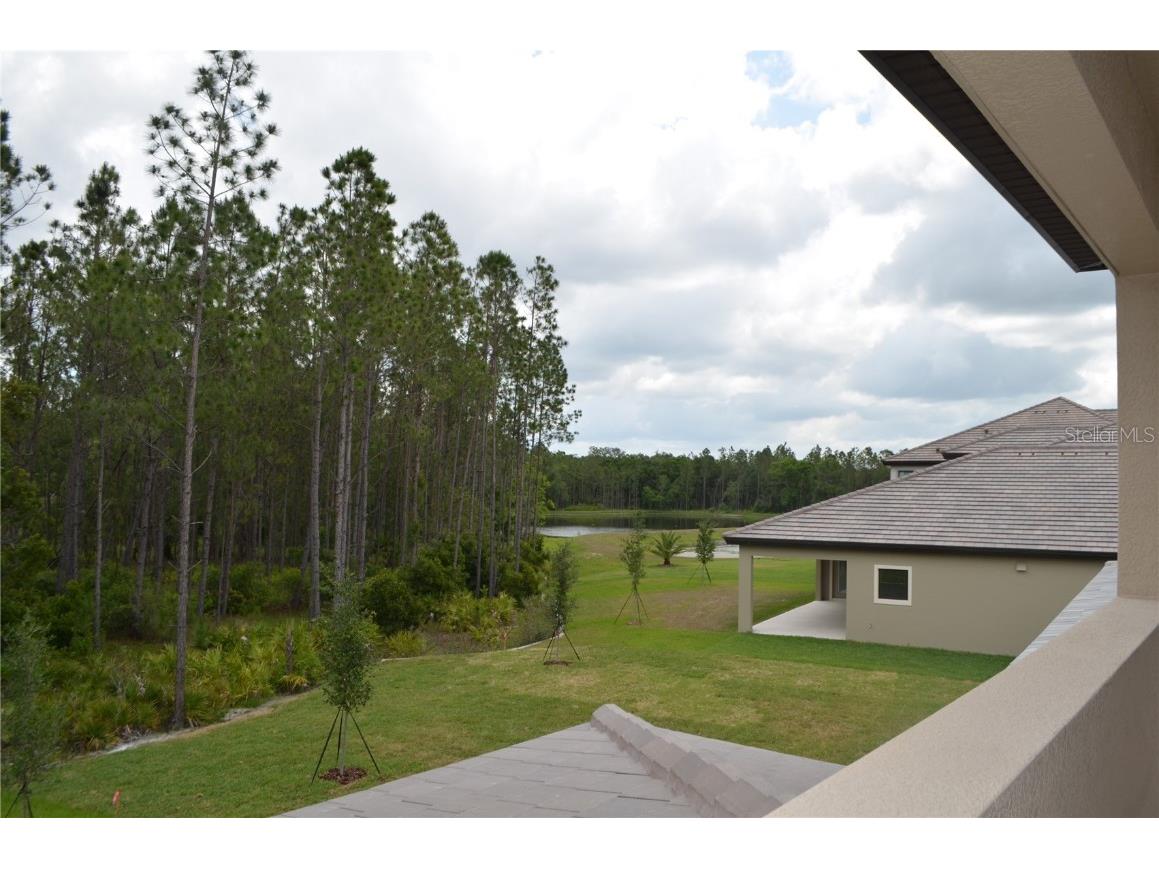 35311 Big Hawk Drive Zephyrhills FL 33541 TB8397906 image20