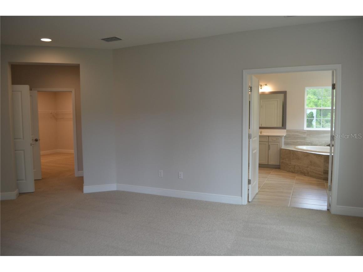 35311 Big Hawk Drive Zephyrhills FL 33541 TB8397906 image21