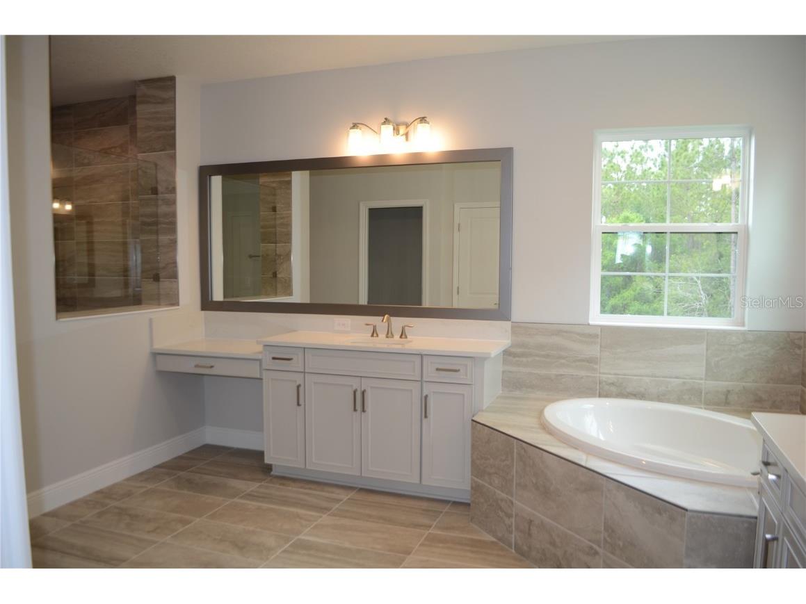 35311 Big Hawk Drive Zephyrhills FL 33541 TB8397906 image22