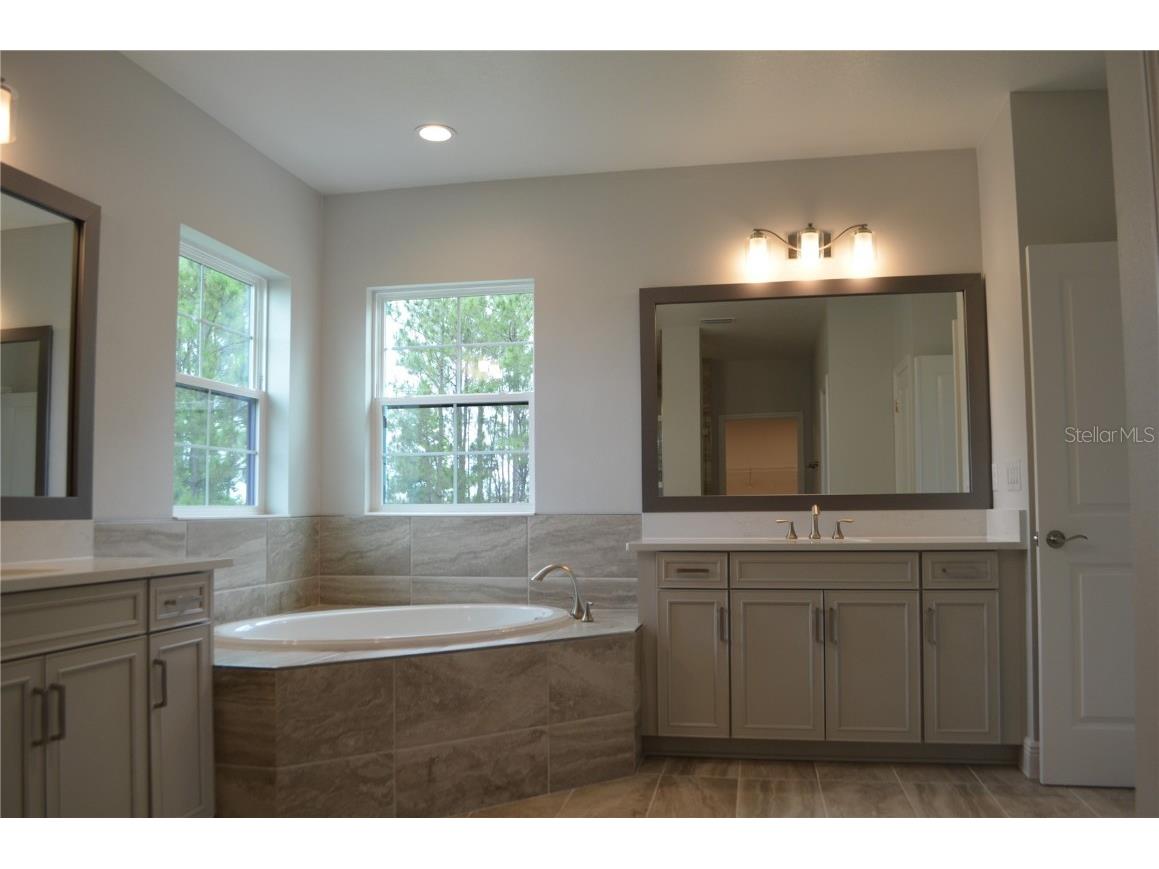 35311 Big Hawk Drive Zephyrhills FL 33541 TB8397906 image23