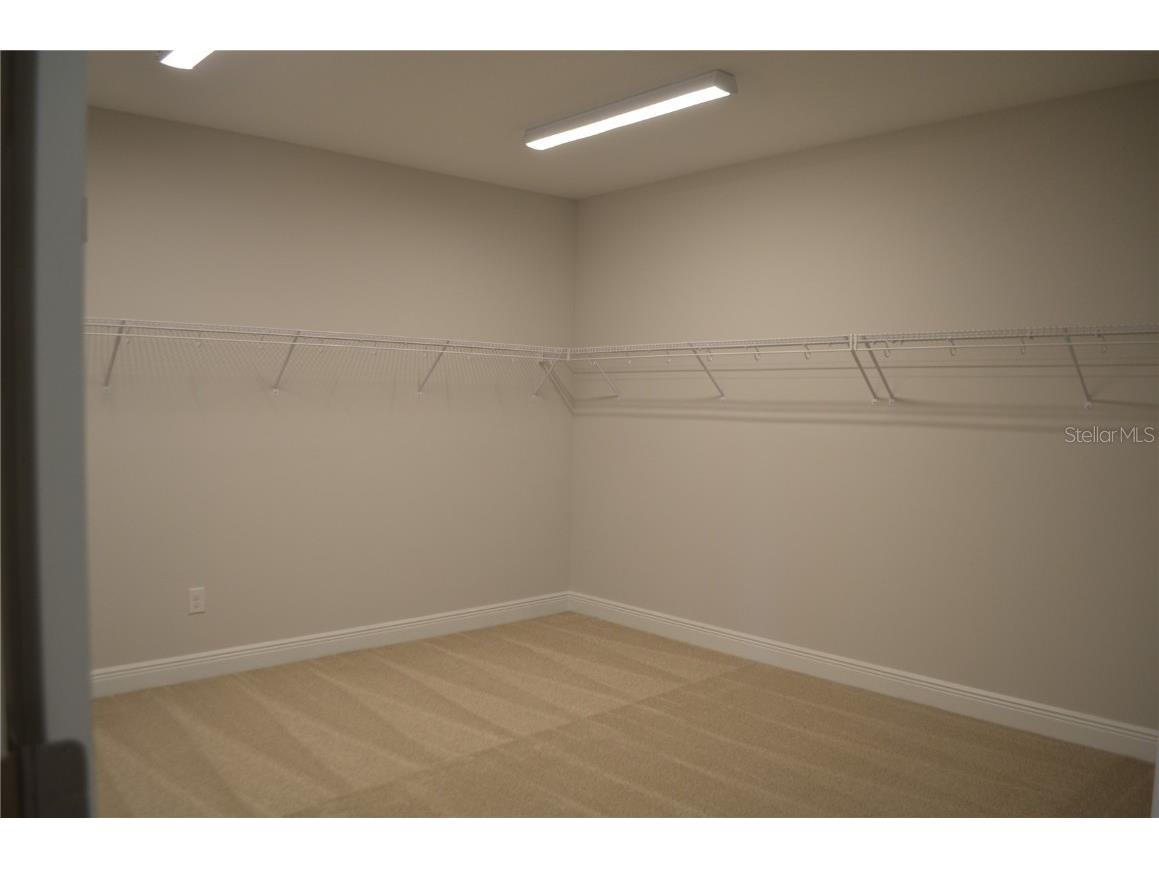 35311 Big Hawk Drive Zephyrhills FL 33541 TB8397906 image24