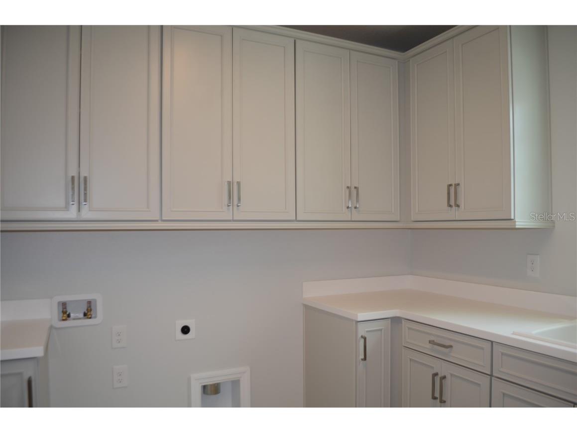 35311 Big Hawk Drive Zephyrhills FL 33541 TB8397906 image29