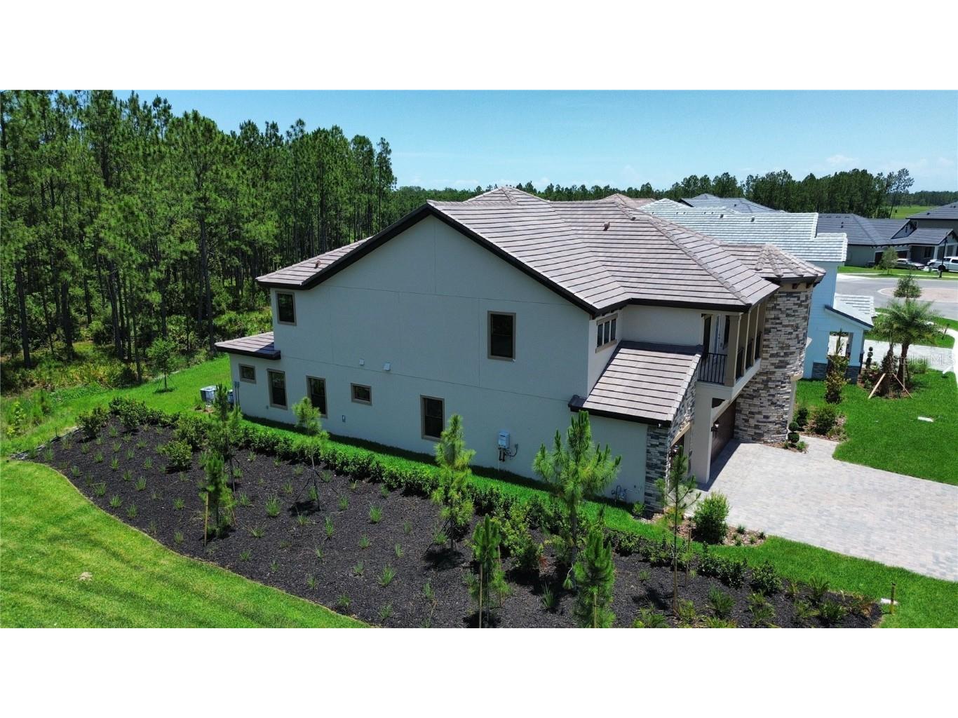 35311 Big Hawk Drive Zephyrhills FL 33541 TB8397906 image3