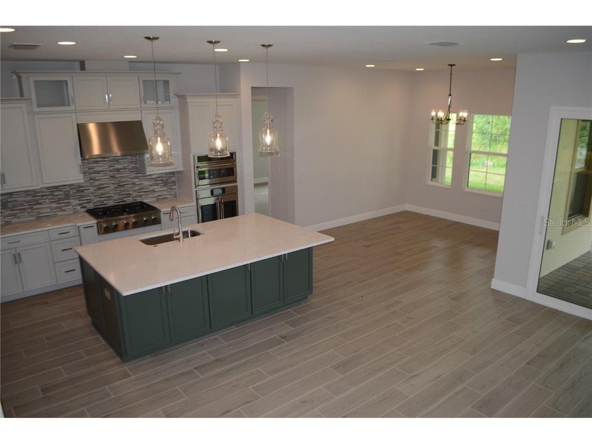 35311 Big Hawk Drive Zephyrhills FL 33541 TB8397906 image30