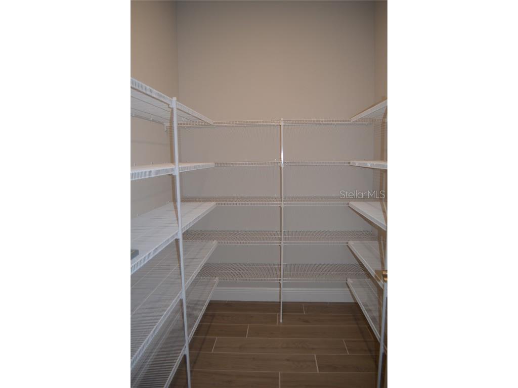 35311 Big Hawk Drive Zephyrhills FL 33541 TB8397906 image31