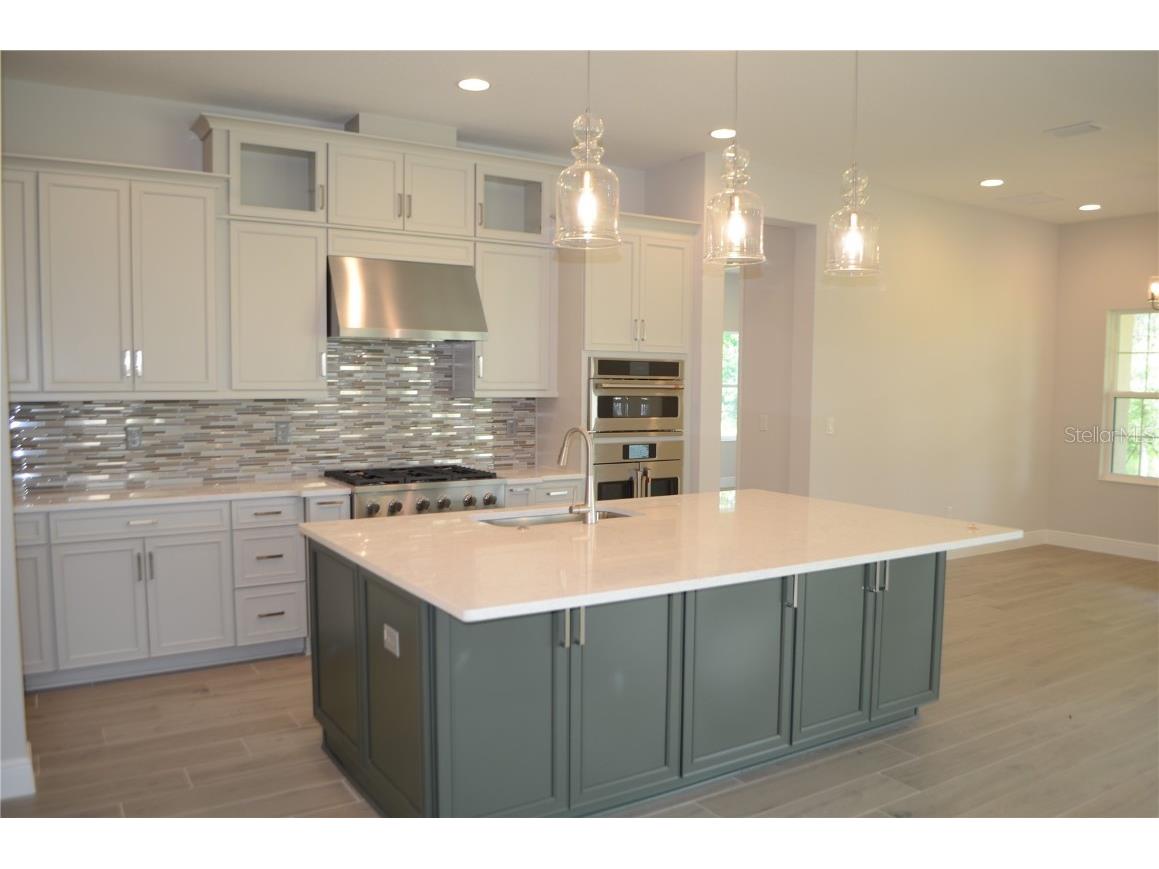 35311 Big Hawk Drive Zephyrhills FL 33541 TB8397906 image4